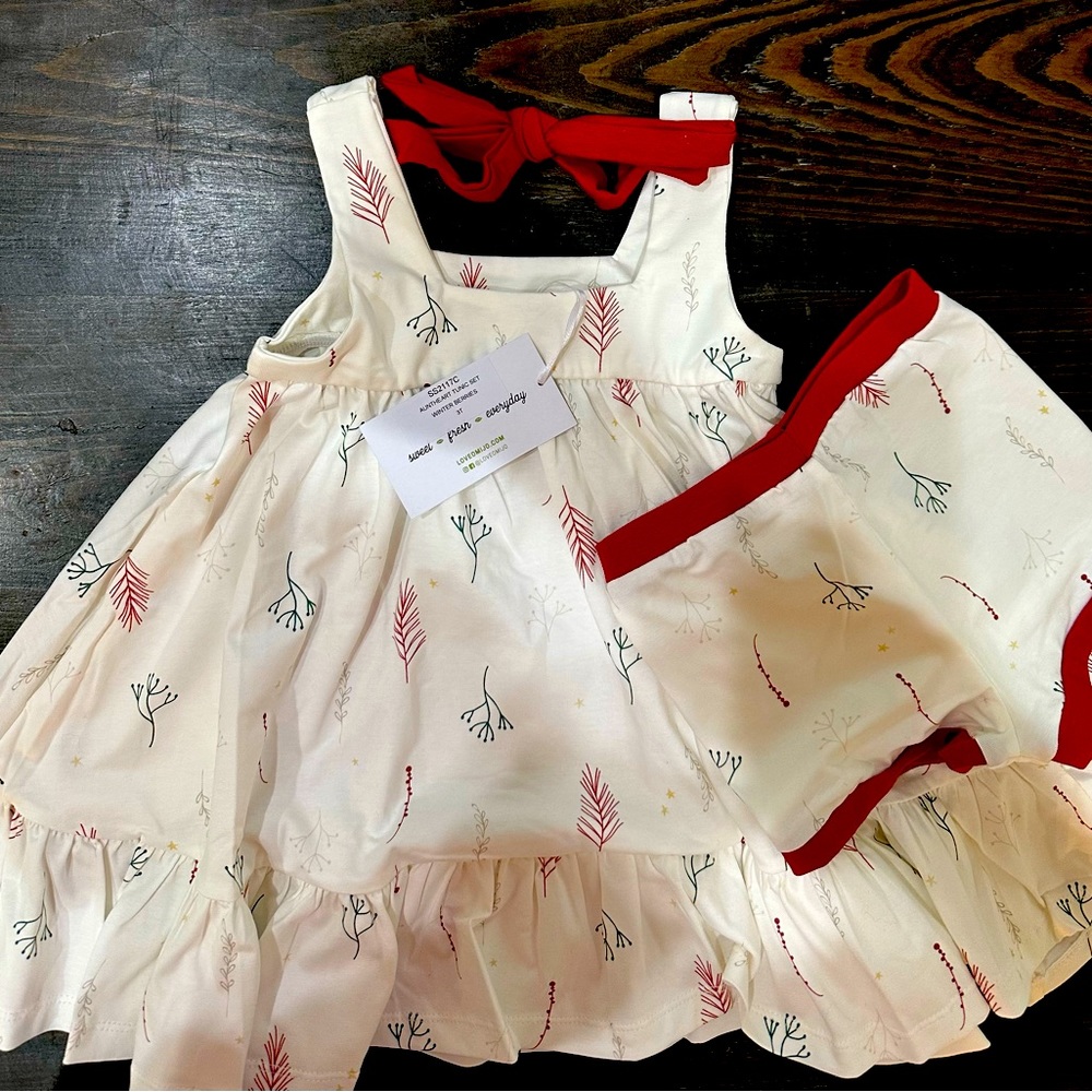 Well Dressed Wolf Love Omi Jo Aunt Heart Tunic Set Winter Berries NWT